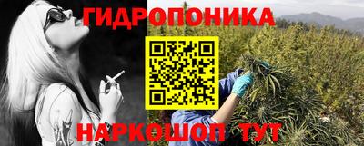 ECSTASY Пенза