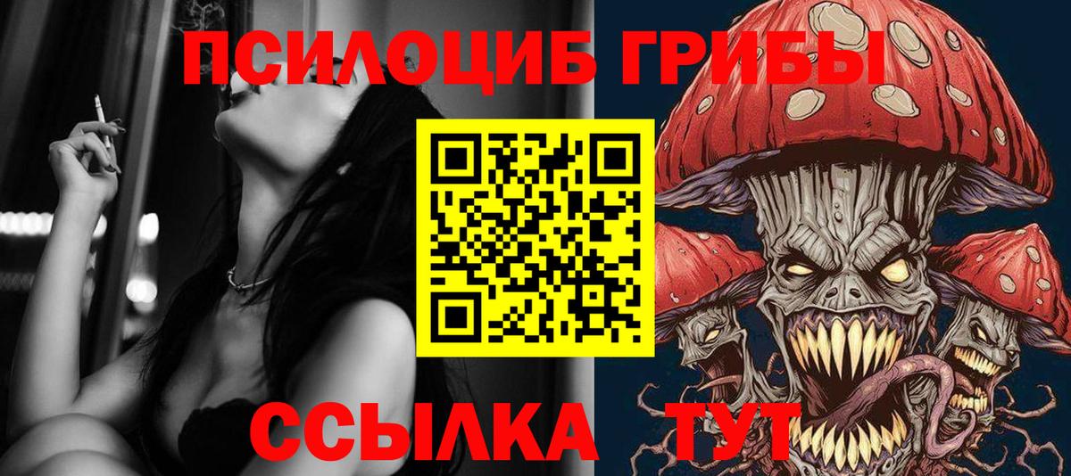 Псилоцибиновые грибы ЛСД  Вход с VPN  Псилоцибиновые грибы MAGIC MUSHROOMS  Нефтекумск 